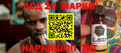 гидропоника Новодвинск