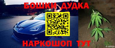 ПСИЛОЦИБИНОВЫЕ ГРИБЫ Новозыбков