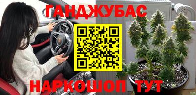 гидропоника Новодвинск