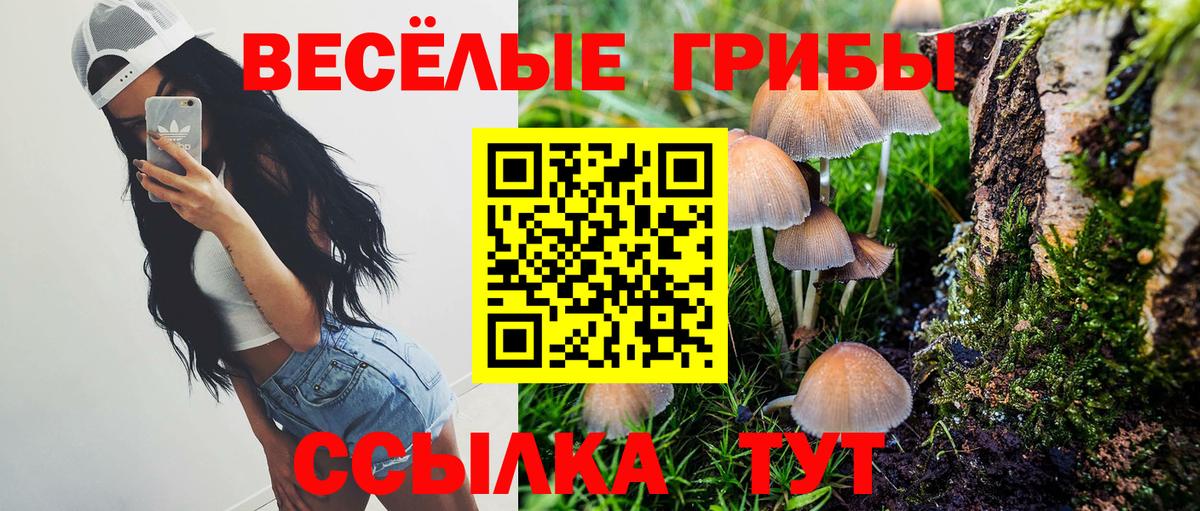 даркнет сайт  Вход с VPN  Ставрополь  Псилоцибиновые грибы Cubensis  Псилоцибиновые грибы мухоморы 
